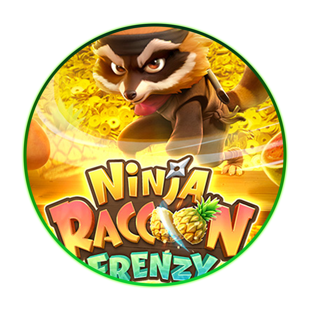 Ninja Raccoon Frenzy